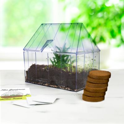 Mini-drivhus med urtesæt